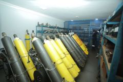 Untitled design - 15